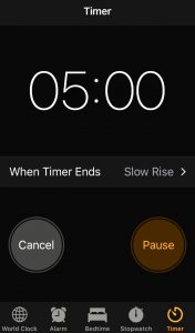 5-minute Timer