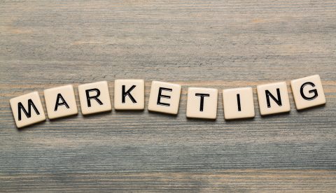 Create an organised marketing plan