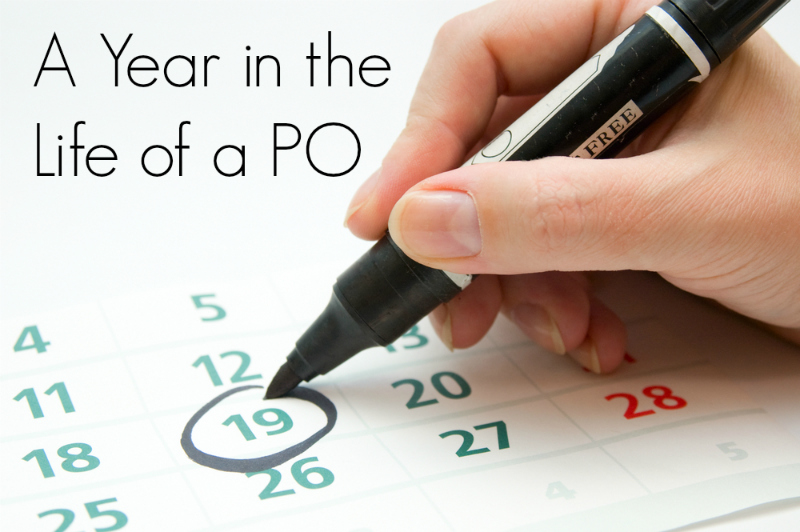 A Year in the Life of a PO
