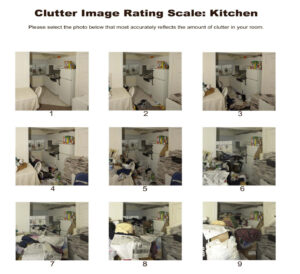 Clutter Image Rating Scale